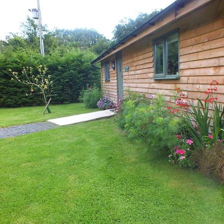 The Potting Shed And The Garden Shed Self Catering Villa Carmarthen Exterior foto