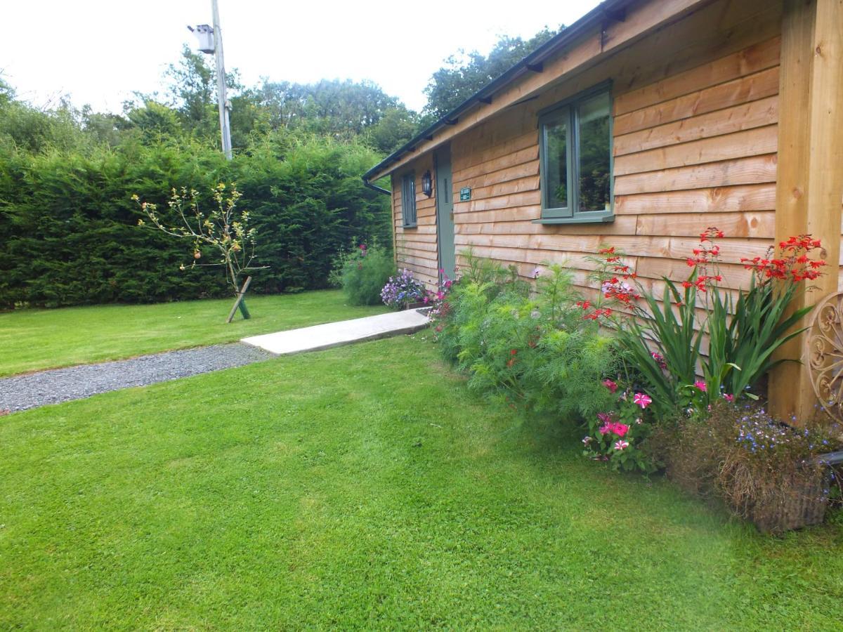 The Potting Shed And The Garden Shed Self Catering Villa Carmarthen Exterior foto