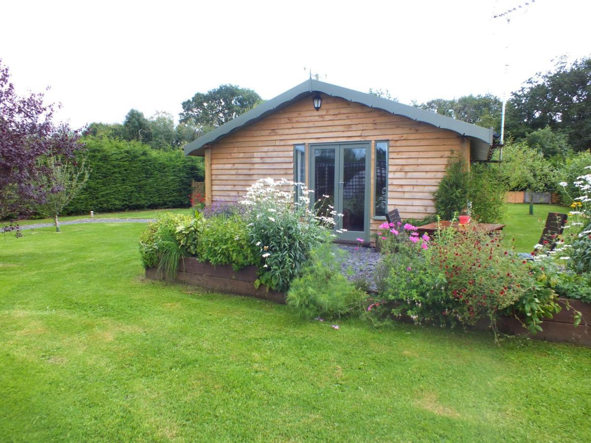 The Potting Shed And The Garden Shed Self Catering Villa Carmarthen Exterior foto