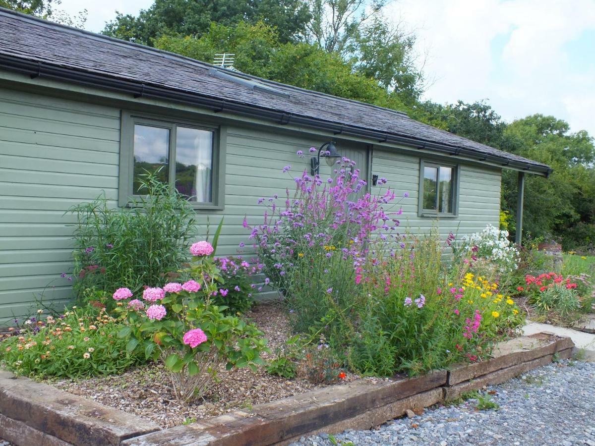 The Potting Shed And The Garden Shed Self Catering Villa Carmarthen Exterior foto