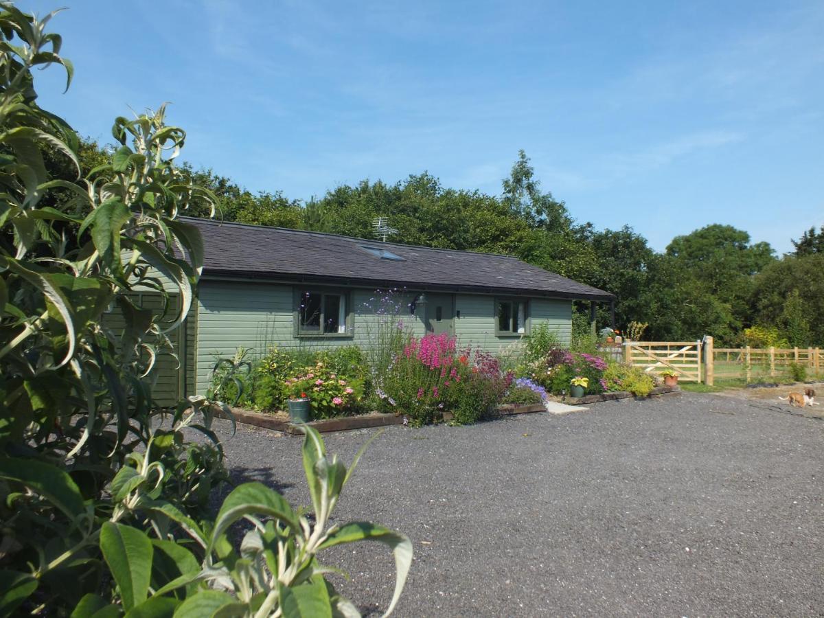 The Potting Shed And The Garden Shed Self Catering Villa Carmarthen Exterior foto