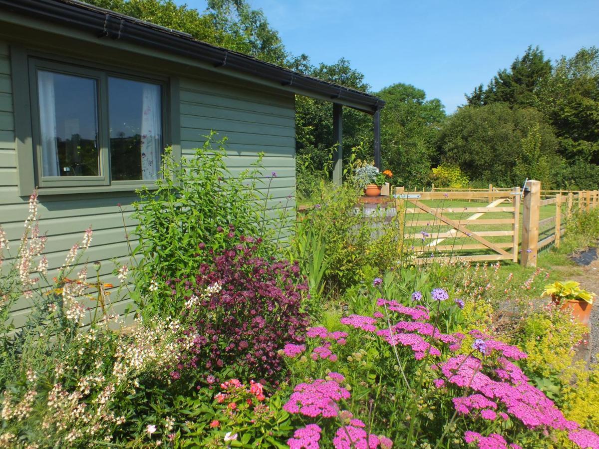 The Potting Shed And The Garden Shed Self Catering Villa Carmarthen Exterior foto